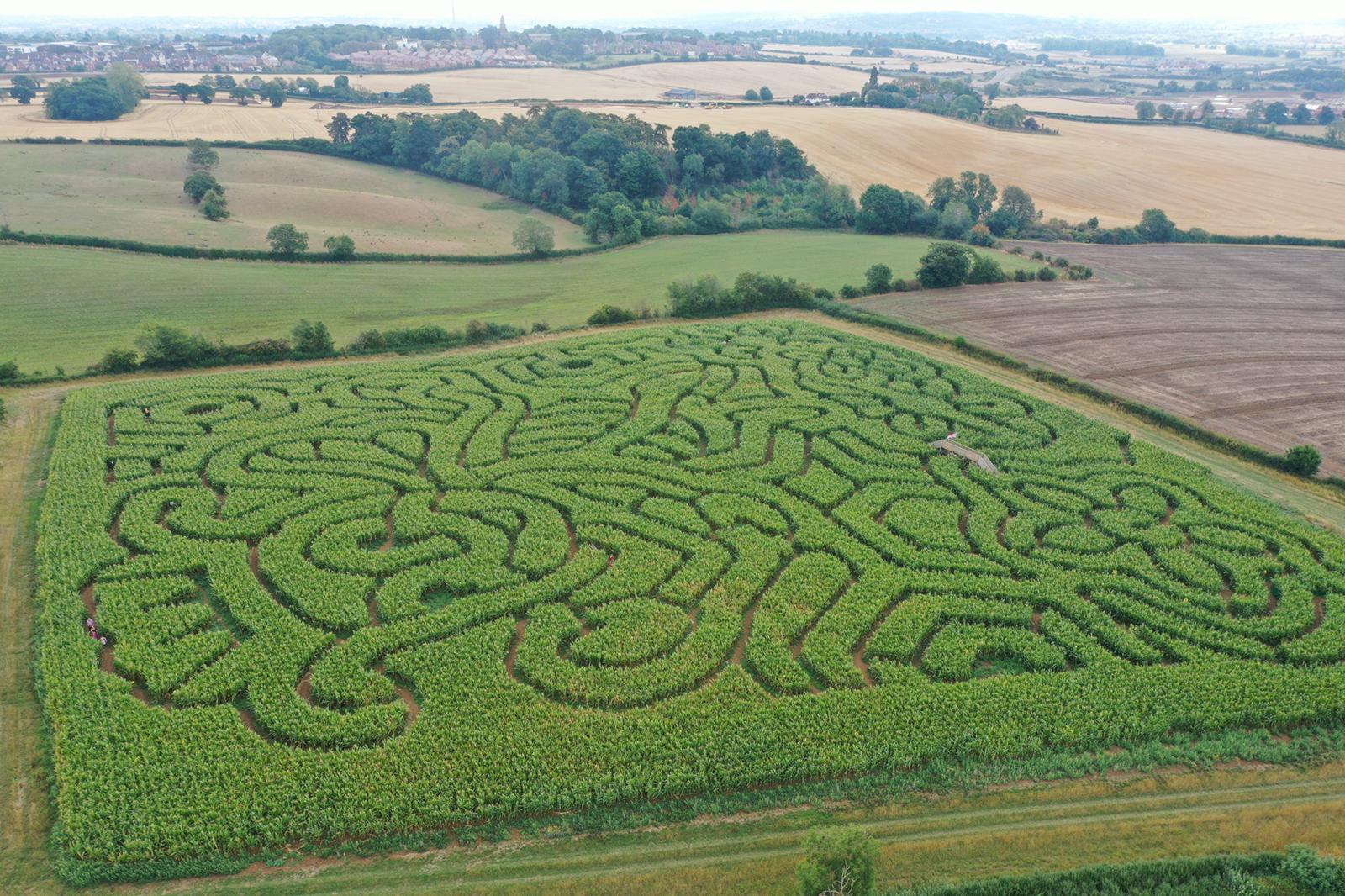 Amazing Maize Maze