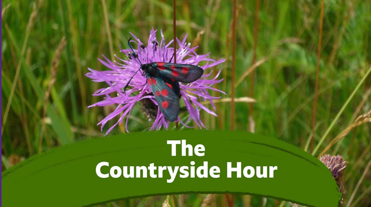 The Countryside Hour from BBC Norfolk
