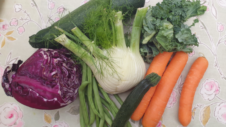 Becoming a Vegan