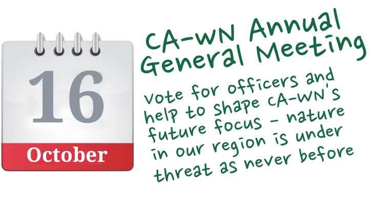 Annual General Meeting