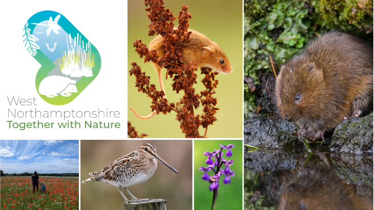 Local Nature Recovery Strategy Consultation now open