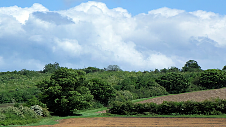 Local Nature Recovery Strategy