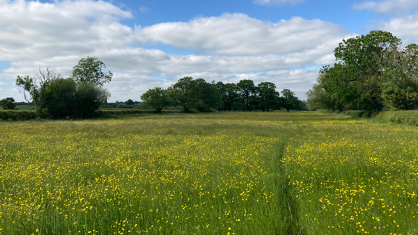 West Northants Council: Local Nature Recovery Strategy