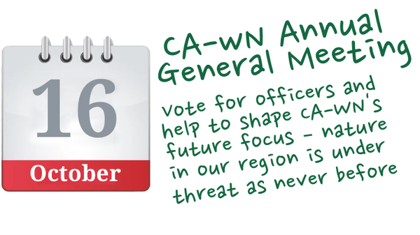 Annual General Meeting