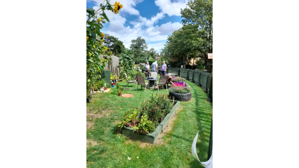 It's Your Neighbourhood