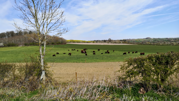 Farming in crisis: Farming Policy 2026